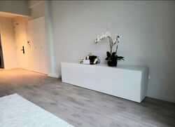 Holland Rise (D10), Apartment #534234871